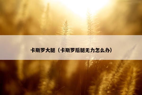 卡斯罗大腿（卡斯罗后腿无力怎么办）