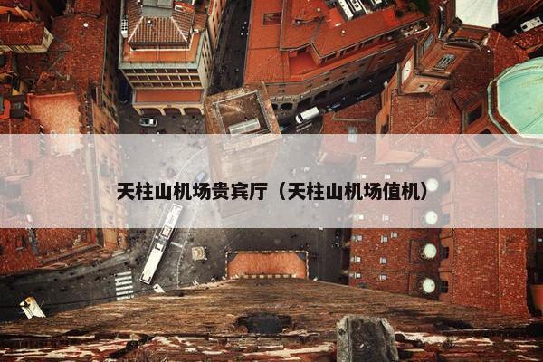 天柱山机场贵宾厅（天柱山机场值机）