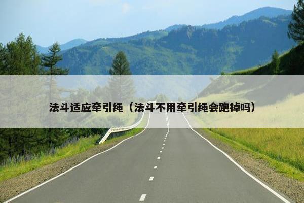 法斗适应牵引绳（法斗不用牵引绳会跑掉吗）