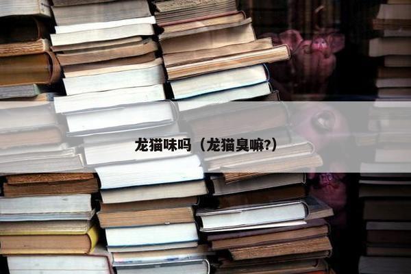 龙猫味吗（龙猫臭嘛?）