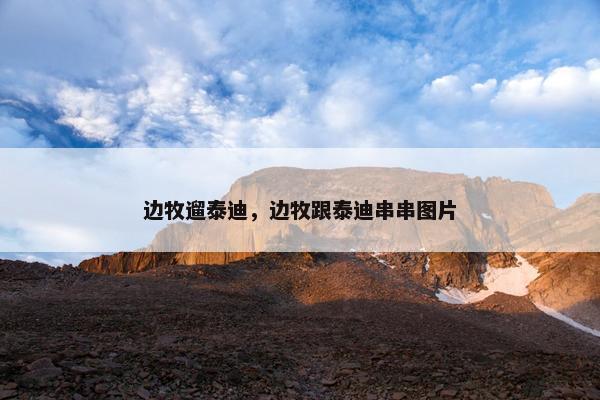 边牧遛泰迪，边牧跟泰迪串串图片