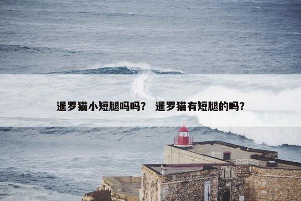 暹罗猫小短腿吗吗？ 暹罗猫有短腿的吗？