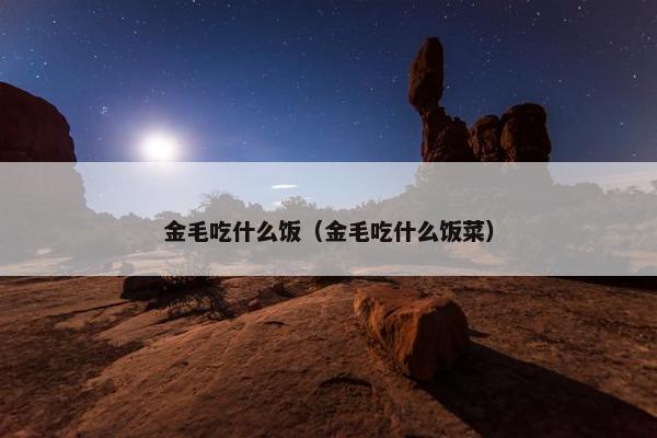 金毛吃什么饭（金毛吃什么饭菜）