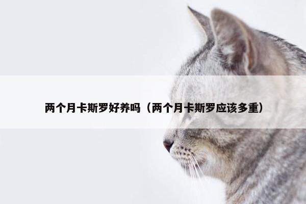 两个月卡斯罗好养吗（两个月卡斯罗应该多重）