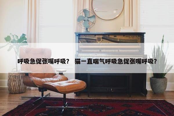 呼吸急促张嘴呼吸？ 猫一直喘气呼吸急促张嘴呼吸？