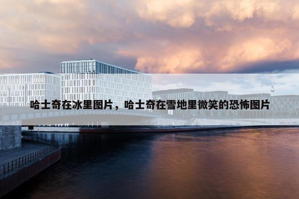 哈士奇在冰里图片，哈士奇在雪地里微笑的恐怖图片
