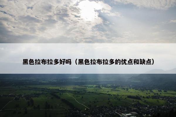 黑色拉布拉多好吗（黑色拉布拉多的优点和缺点）