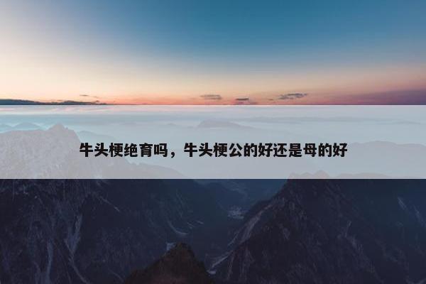 牛头梗绝育吗，牛头梗公的好还是母的好