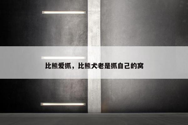 比熊爱抓，比熊犬老是抓自己的窝