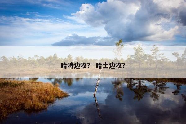 哈特边牧？ 哈士边牧？