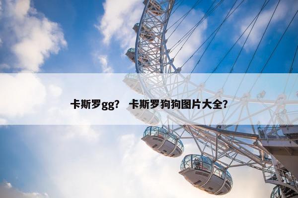 卡斯罗gg？ 卡斯罗狗狗图片大全？