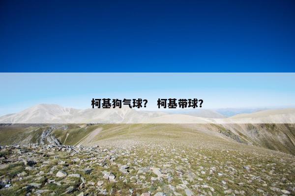 柯基狗气球？ 柯基带球？