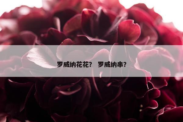 罗威纳花花？ 罗威纳串？