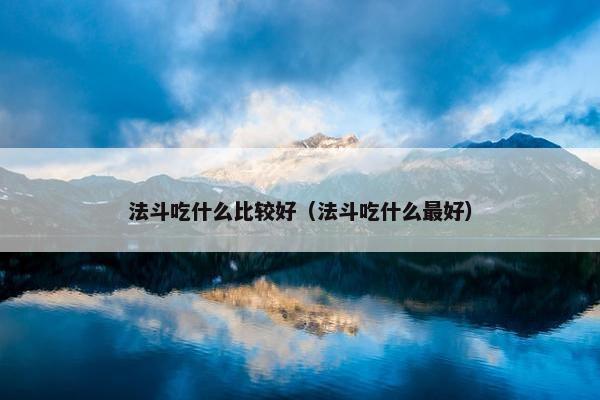 法斗吃什么比较好（法斗吃什么最好）