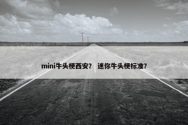 mini牛头梗西安？ 迷你牛头梗标准？