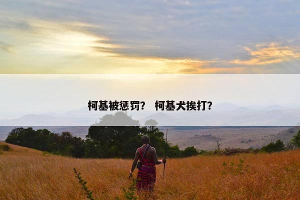 柯基被惩罚？ 柯基犬挨打？