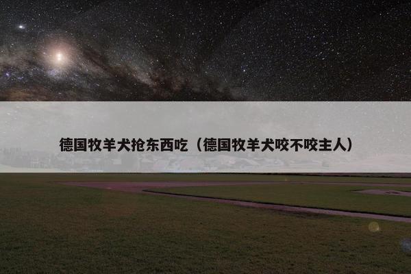 德国牧羊犬抢东西吃（德国牧羊犬咬不咬主人）