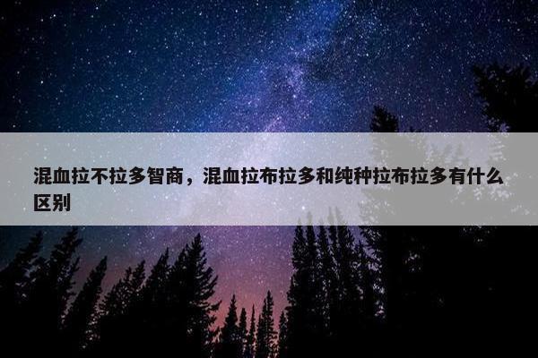 混血拉不拉多智商，混血拉布拉多和纯种拉布拉多有什么区别
