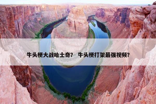 牛头梗大战哈士奇？ 牛头梗打架最强视频？