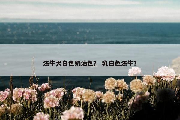 法牛犬白色奶油色？ 乳白色法牛？