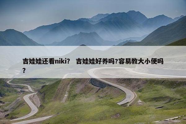 吉娃娃还看niki？ 吉娃娃好养吗?容易教大小便吗？
