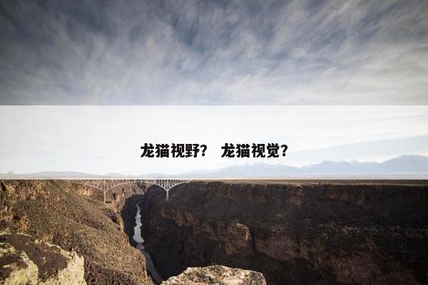 龙猫视野？ 龙猫视觉？