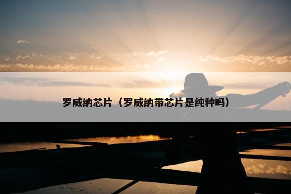 罗威纳芯片（罗威纳带芯片是纯种吗）