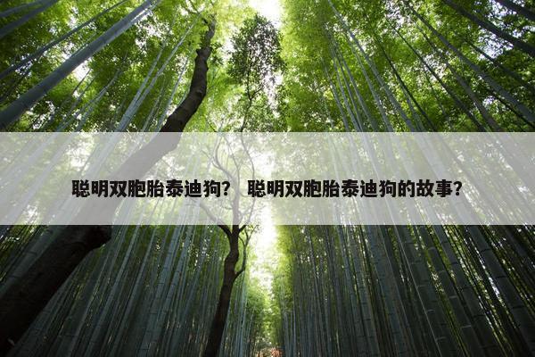 聪明双胞胎泰迪狗？ 聪明双胞胎泰迪狗的故事？