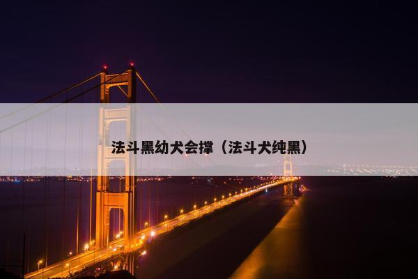 法斗黑幼犬会撑（法斗犬纯黑）