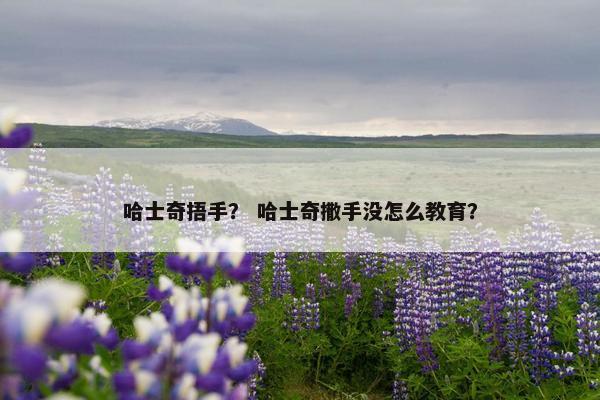 哈士奇捂手？ 哈士奇撒手没怎么教育？