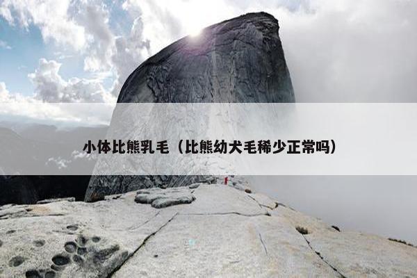 小体比熊乳毛（比熊幼犬毛稀少正常吗）