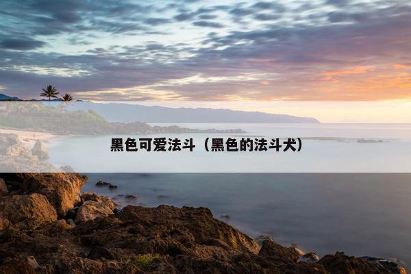 黑色可爱法斗（黑色的法斗犬）