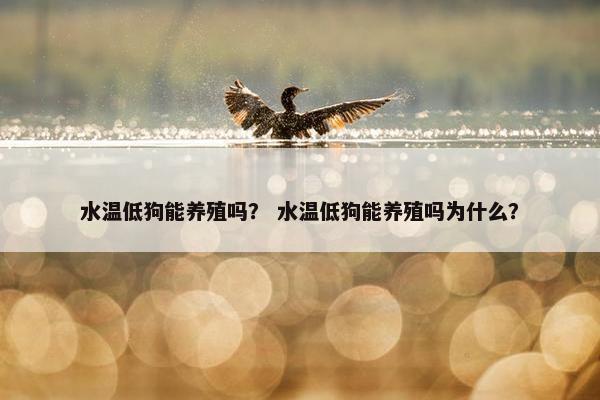 水温低狗能养殖吗？ 水温低狗能养殖吗为什么？