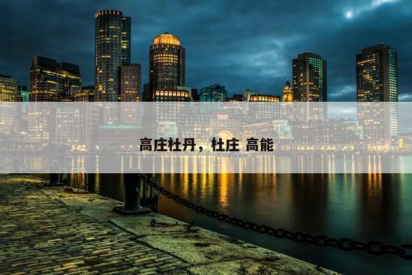 高庄杜丹，杜庄 高能