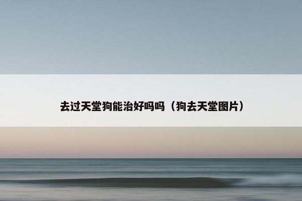 去过天堂狗能治好吗吗（狗去天堂图片）