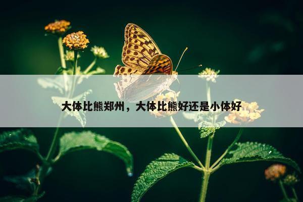 大体比熊郑州，大体比熊好还是小体好