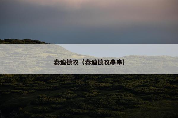 泰迪德牧（泰迪德牧串串）