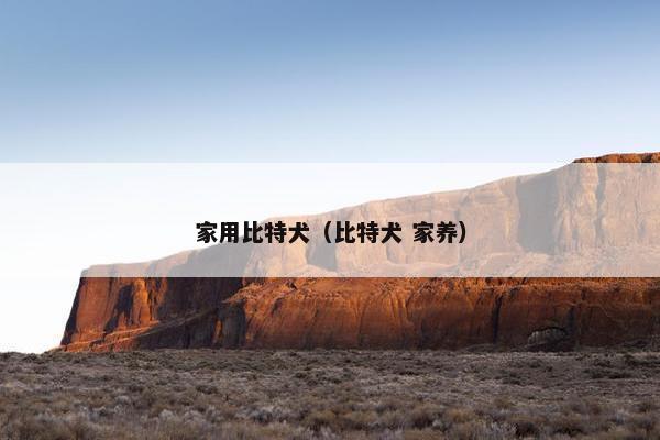 家用比特犬（比特犬 家养）