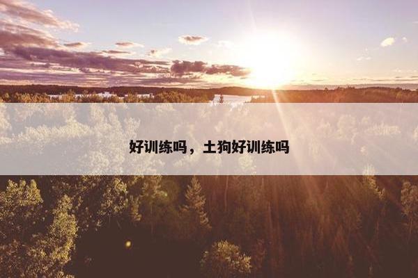 好训练吗，土狗好训练吗