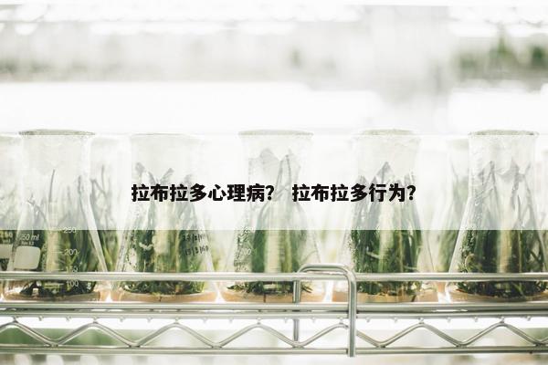 拉布拉多心理病？ 拉布拉多行为？
