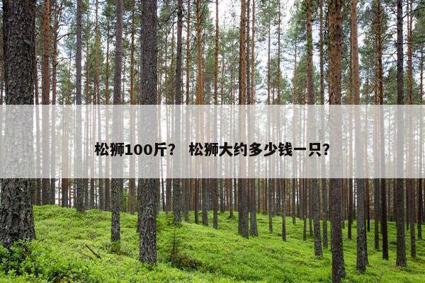 松狮100斤？ 松狮大约多少钱一只？