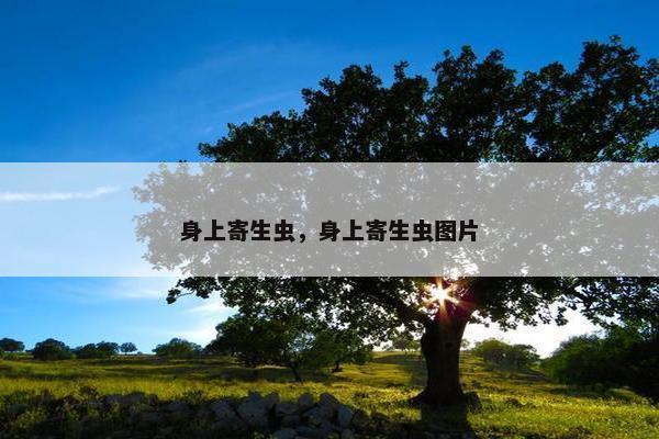 身上寄生虫，身上寄生虫图片