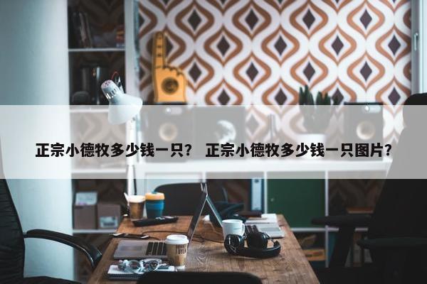 正宗小德牧多少钱一只？ 正宗小德牧多少钱一只图片？