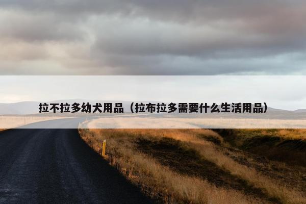 拉不拉多幼犬用品（拉布拉多需要什么生活用品）