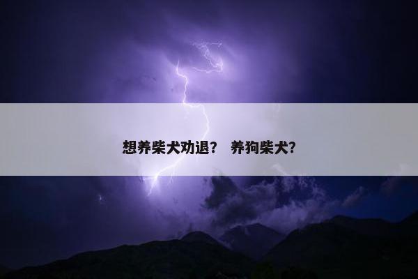 想养柴犬劝退？ 养狗柴犬？