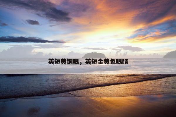 英短黄铜眼，英短金黄色眼睛
