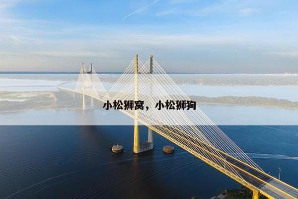 小松狮窝，小松狮狗