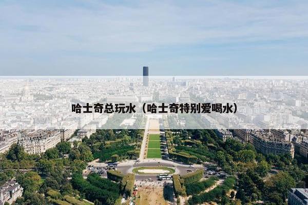 哈士奇总玩水（哈士奇特别爱喝水）