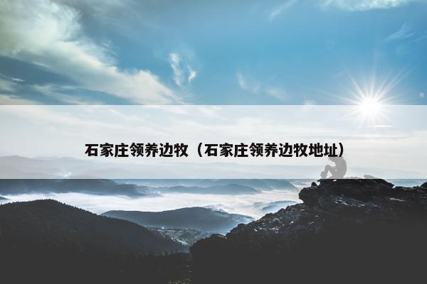 石家庄领养边牧（石家庄领养边牧地址）