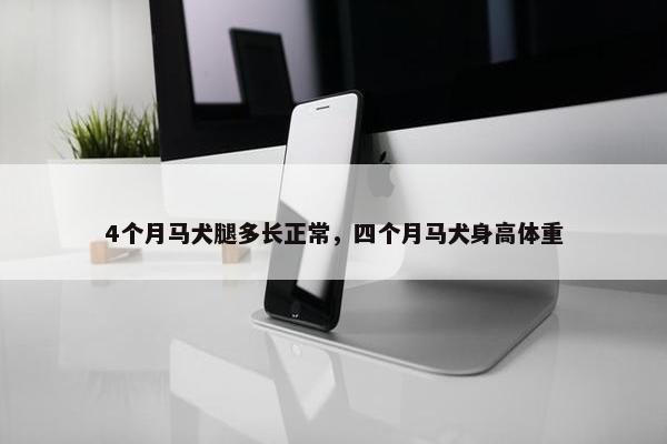 4个月马犬腿多长正常，四个月马犬身高体重